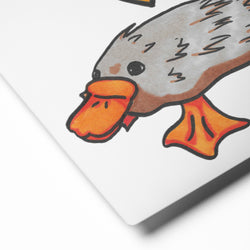 Metal prints